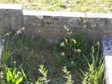 image of grave number 303568
